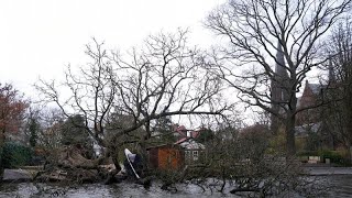 La tempête Eunice frappe durement lEurope et fait plusieurs morts [upl. by Ellehcyar]