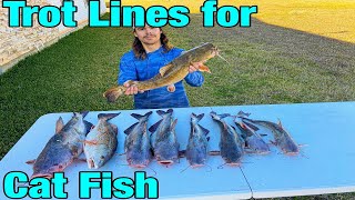 TrotLine Fishing for CATFISHcatch clean and cook [upl. by Aidualc]