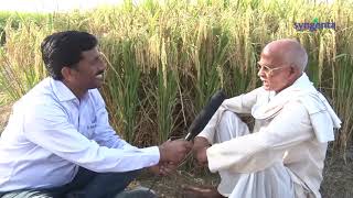 S 4001 Rice Syngenta India Hindi Testimonial [upl. by Tice818]