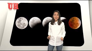 Calendario lunar cuándo es mejor cortarse el pelo [upl. by Ennasirk742]