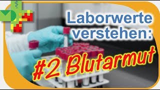 Laborwerte verstehen 2 Blutarmut differenzieren [upl. by Anoyi]