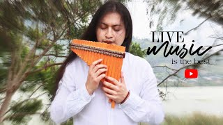 🔴LIVEMUSIC  MARTES  INSTRUMENTAL  1915  PUNTUAL EUROPA🎆 [upl. by Ettevahs438]