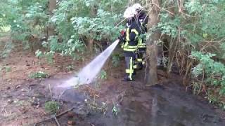 Waldbrand fordert die Feuerwehr [upl. by Randal]