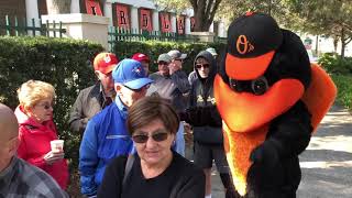 Orioles Spring Training 2019 Tickets on Sale Now [upl. by Dorcy]