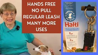 How to Use a Halti Double Ended Training Leash [upl. by Aubrey]