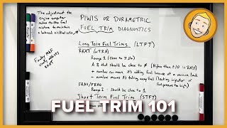 Fuel Trim 101  How to check the fuel trim on a Porsche using PIWIS or Durametric [upl. by Rotsen]