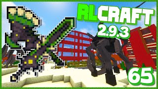 I Almost Blew Everything Up  RLCraft 293  Ep 65 [upl. by Anjela]