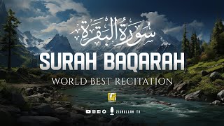 Surah Al Baqarah Full سورة البقره HEART TOUCHING RECITATION  Zikrullah TV [upl. by Kulsrud473]