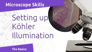 Microscope Basics Kohler Illumination [upl. by Bow]