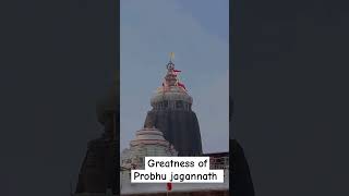 If you do not watch this video you missed your chance to see jagannath greatness  yt studio shorts [upl. by Ayit]