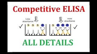 Competitive ELISA [upl. by Sirtimed981]