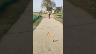 Batting with stump 🔥hiteshcsvlog cricket cricketlover cricketshorts indiancricket shorts [upl. by Stanly106]