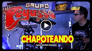 2021  Grupo PEGASSO  CHAPOTEANDO  Zagar desde el bar  Pegasso [upl. by Nonnag]