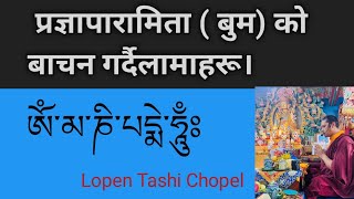 प्रज्ञापारामिता को वाचन गर्दै लामा गुरु हरु। [upl. by Aikit296]