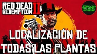 Red dead redemption 2 Localização de todas as plantas do jogo [upl. by Debora]