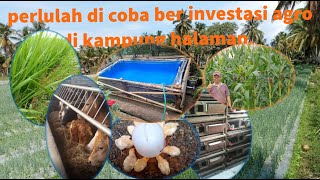 THR NTJ SEBAGAI INVESTASI UNTUK HASILKAN UANG SECARA BERKELANJUTAN [upl. by Koh606]