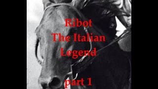 RIBOT 1  The birth of a Champion [upl. by Aliekahs]