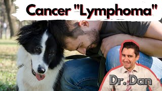 Does your dog have cancer Lymphoma in the Dog Vet explains symptoms diagnosis and treatment [upl. by Rennold]