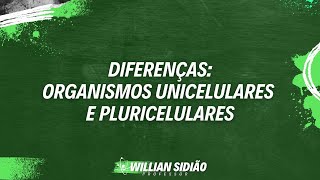 Diferenças entre Organismos Unicelulares e Pluricelulares  Prof Willian Sidião [upl. by Eiwoh]