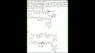 MEDICINAL CHEMISTRY OF POLYENESREVISIONTAMs EXPLAINED [upl. by Annaxor]