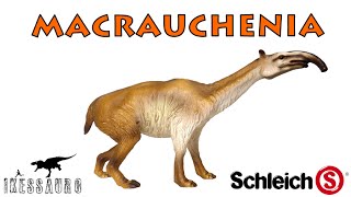 Macrauchenia Schleich [upl. by Aicnom405]