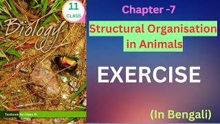 Class 12 ncertbiology exercise solution from structuralorganisationinanimals Harunbiozone [upl. by Gawen]