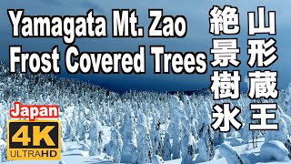 山形蔵王の樹氷 東北の冬 Mt Zao Yamagata Frost covered trees 山形観光 蔵王ロープウェイ 蔵王温泉 三大樹氷 スノーモンスター snow monster [upl. by Rech912]