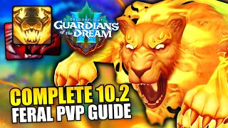 COMPLETE 102 Feral Druid PvP Guide  Talents BiS Gear Rotation and MORE [upl. by Nonnahsed]