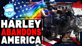 Harley Davidson Just Made A HUGE Mistake Woke Backlash Is About To Get WAY WORSE After Sturgis [upl. by Alien108]