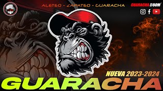 GUARACHA TUSSI 🔥 GUARACHA 20232024  DJ ALEX FUEGO [upl. by Ycnalc899]