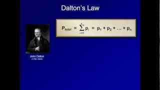 Derivation of the Alveolar Ventilation and Alveolar Gas Equations ABG Interpretaion Supp Video [upl. by Eelsew]