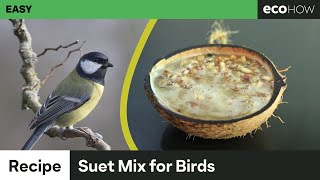 How to make suet mix for birds [upl. by Digirb]