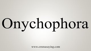 How To Say Onychophora [upl. by Duffie364]