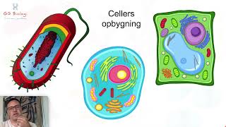 Cellers opbygning  Biologi 7 årgang [upl. by Eisle]