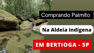 Cachoeira Rio Silveiras em Bertioga  SP [upl. by Whittemore]