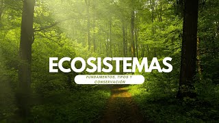 Ecosistemas Fundamentos Tipos y Conservación  Aprendamos a Aprender [upl. by Moazami]