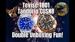 Tevise T801  Tandorio CUSN8 Double Unboxing Fun [upl. by Joanna513]