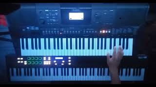 Rammstein  Moskau Keyboard Cover [upl. by Ernaldus685]