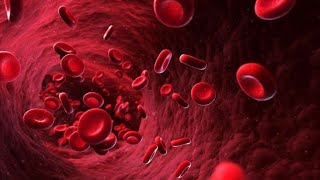 Erythrocyte sedimentation rate ESR physiologyerythrocyte sedimentation rate physiology [upl. by Nrev]