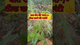 धात रोग 100 इलाज💊🙏 shorts helthytips amazingfacts youtubeshorts [upl. by Airret]