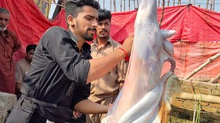 mukammal Bakra banane ka tarika meat catting skills  goat skin remove skill  ADIL qasai 🐐 [upl. by Llertrac]