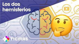 Partes del CEREBRO Hemisferios lóbulos y materia gris [upl. by Shepp914]