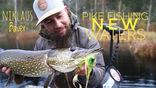 Pike Fishing New Waters with Niklaus Bauer Thomas Söbirk and Matilda Leijon [upl. by Anerol]