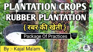 Plantation Crop  Rubber  Horticulture  By  Kajal Maam [upl. by Tarra]