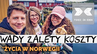 W Norwegii taniej niż w Polsce  ZAKUPY SPOŻYWCZE  POLSKA vs NORWEGIA  Gdzie żyje się lepiej [upl. by Eissat]