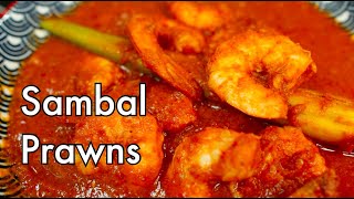 Easy Singapore Sambal Prawns  spicy sambal udang or shrimp recipe [upl. by Yeldnarb]