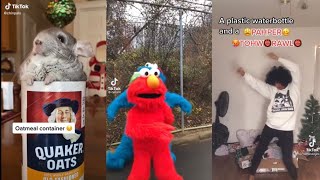 Oatmeal Container Wooden Bowl Elmo TikTok Compilation [upl. by Engenia346]