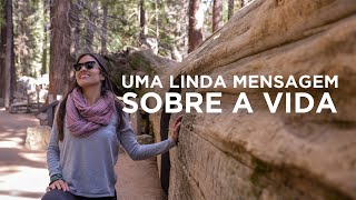 Linda Mensagem Sobre a Vida [upl. by Aurthur78]