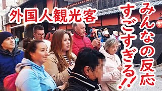 【リアルな海外の反応】外国人観光客の感激がすごすぎる！舞妓さんに会えて素晴らしい日本の旅が完結！ [upl. by Valerye]