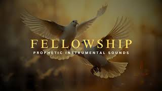 Fellowship  Prayer Time amp Meditation Music [upl. by Sherborn906]